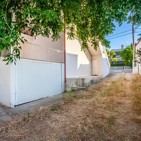 Akemi Seaside ハニオティス